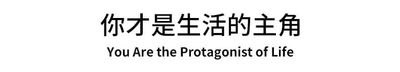 红棕条纹领Polo衫 详情图 17